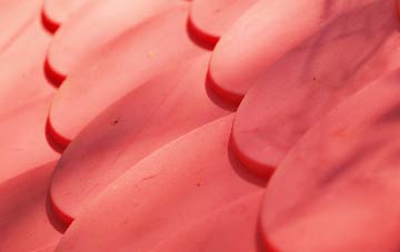 Wendy plastic roof costs